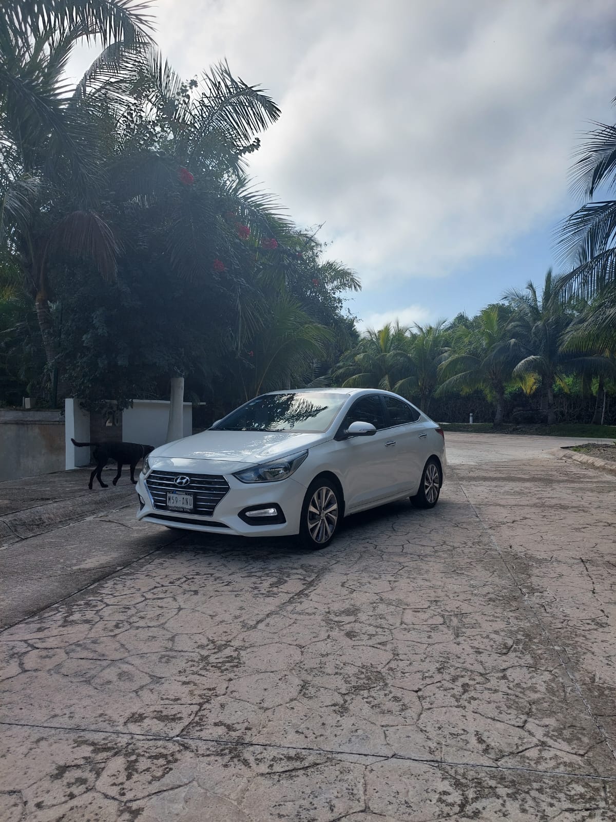 Hyundai Accent 2018 White FVRent